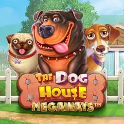 The Dog House Megaways gra w Altaris Casino dla graczy z Polski The Dog House Megaways gra w Altaris Casino dla graczy z Polski