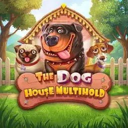 The Dog House Multihold gra w Altaris Casino dla graczy z Polski The Dog House Multihold gra w Altaris Casino dla graczy z Polski